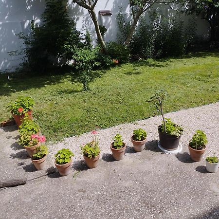 Paprika vendégház Harkány Exterior foto