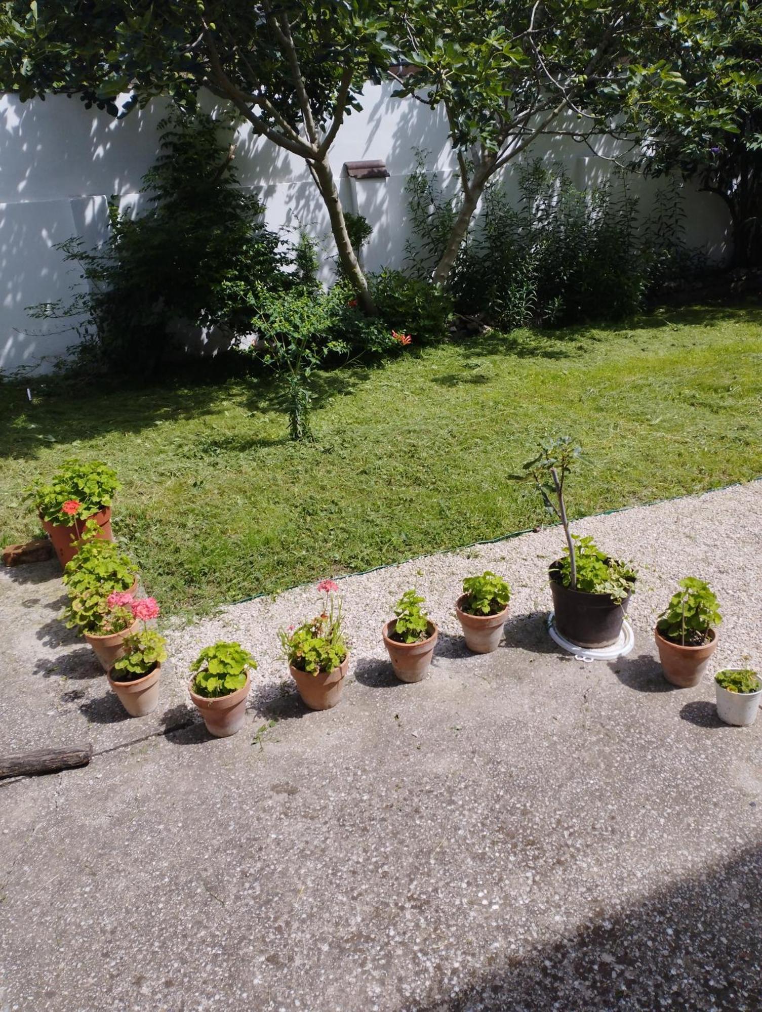 Paprika vendégház Harkány Exterior foto